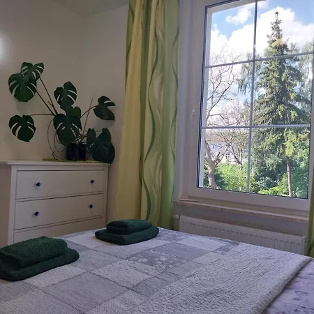 New Apartmán *